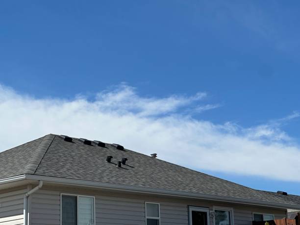 Best Slate Roofing  in Burr Ridge, IL